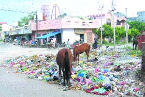 Heaps of garbage can be seen in Professors Colony, Phagwara
