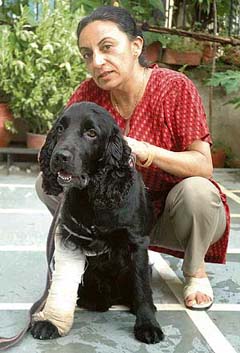 DOGS LIFE: Pet owners want better medical facilities for their dear ones