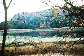 The Ranthambore National Park is dotted with steep rocky hills