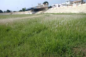 The centrally located Guru Gobind Singh Stadium is the favourite haunt of morning and evening walkers. 