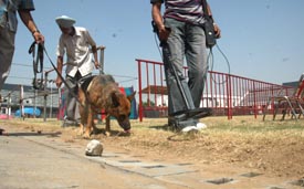 Security arrangements being made for the Prime Ministers forthcoming visit to Ludhiana on Monday