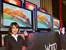 Japan's electronics giant Hitachi unveils a line of plasma display panel (PDP) television sets "Wooo", 60-inch and 50-inch models with a 250 GB built-in harddisk drive (HDD) recorder, in Tokyo on Tuesday.