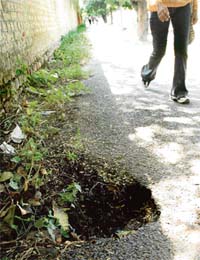 A ditch on the cycle track along the road dividing Sectors 26 and 7 in Chandigarh