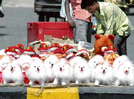 A man sells soft toys on a road divider in Ludhiana
