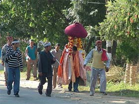 Devotees carry hill gods to the site of the International Dasehra Festival beginning in Kulu on Monday. As per traditions, the hill gods are taken to the festival site after covering a long distance on foot.