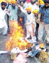 National Akali Dal activists burning the effigies of Delhi Gurdwara Prabandhak Committee President Harvinder Singh Sarna and his brother Paranjit Singh Sarna at Jantar Mantar in the Capital on Monday.