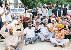 Veterinary pharmacists stage a protest outside the residence of Punjab Health and Finance Minister Surinder Singla in Bathinda on Wednesday.