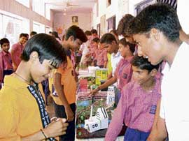 Students display models during an exhibition on wildlife at Maharishi Dayanand Public School, Daria, on Friday.