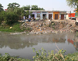A drain on the outskirts of Amritsar poses a major threat to the spread of dengue.