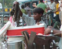 WHERE IS THE BAN: A youngster works at a tea stall in Jalandhar on Tuesday. The ban on child labour came into effect on October 10.