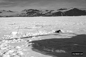Threat of global warming