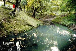Stagnant water of a choe, which flows along the Leisure Valley, has become a major health hazard for residents of Chandigarh.