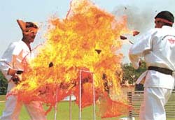 Personnel of the Special Action Group of NSG, popularly referred to as black cats, demonstrating martial skills as part of its 22nd Raising Day celebrations.