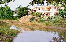 A leaking sewerage pipe has become the bane of residents of Sector 15 