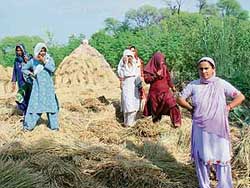 Women of the Banjara community at the disputed piece of land in Shahpur village of Raipur Rani on Wednesday. 
