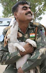 Lieut-Col Parasanali Bapu, the only vet serving with UN peacekeepers in south Lebanon, plays with a dog 