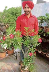 Gurdeep Singh has green fingers for sure