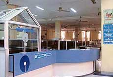 A bank wears a deserted look following a strike by employees in Ludhiana on Friday.