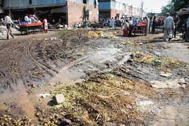 Scattered vegetables and slush speak volumes about the state-of-affairs at the vegetable and fruit market in Sector 26, Chandigarh