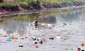Polythene bags and other material seen floating in a canal after devotees performed Chhath Puja in Ludhiana