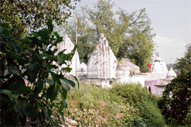 The Kaleshwar temples have been fashioned after the Shikhara style of architecture. 