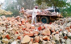 Debris being dumped in front of Government Senior Secondary School, Dakha, on the forest land along the Ferozepore road. 