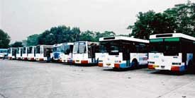 CTU buses parked at CTU Depot No. 2 in the Industrial Area, Chandigarh, during the peak hours in the evening