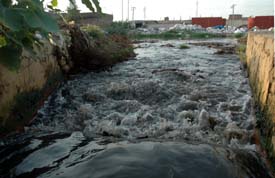 Effluents flow directly into the Budda Nullah in the absence of a treatment plant in Ludhiana on Friday