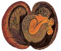 The ‘womb’ has been sensitively depicted