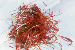 Saffron or kesar is the most expensive spice in the world