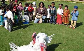 Students of Pumpkins Kindergarten get their first lessons in pet care in Ludhiana