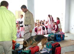 A sniffer dog smells schoolbags for a bomb and students gather in the compound of Government Girls High School, Maqsudan, on Saturday. 
