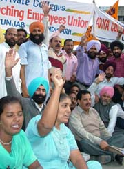 Private College Non-Teaching Employees Union protest in front of the District Administrative Complex, Jalandhar, on Saturday. 