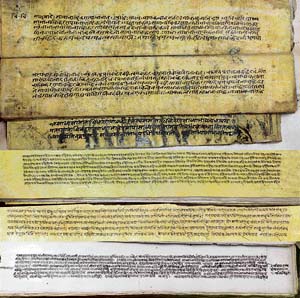 Most of the manuscripts are written in the Devnagari script
