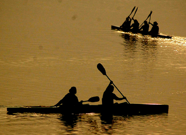Golden waters of the Sukhna Lake greet early morning rowers in Chandigarh.