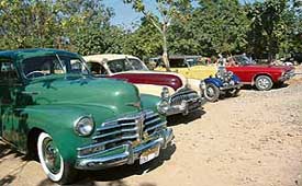 Some of the old beauties that will be seen in action during the two-day Delhi-Chandigarh-Kasauli vintage car rally starting on Friday