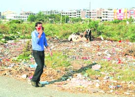 Garbage dumps and stray cattle greet visiotors at Ranjit Avenue, Amritsar
