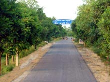 A view of greenery on a stretch of a road leading to Khadoor Sahib gurdwara