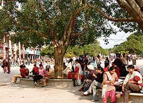 Visitors to Sector 17, Chandigarh, tried stealing moments of sunshine during the lunch hour 