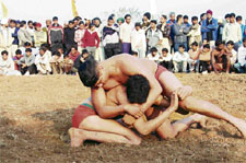 A wrestling match in progress on the opening day of the 21st annual sports festival at Jarkhar on Friday.