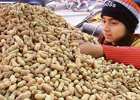 The young boy finds quite a joy running his hands through the heap of peanuts being sold on the street
