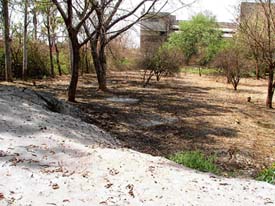 A municipal corporation park which has been converted into a fly ash dump at Focal Point in Ludhiana