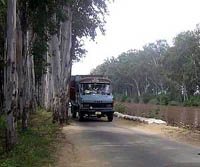 A view of the killer stretch