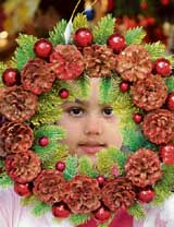 Mistletoes are dazzling like never before in Chandigarh