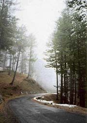The tourist resorts of Gulmarg, Pahalgam and Sonamarg fall in the forest areas of Kashmir valley, and therefore, any plan to upgrade the tourist infrastructure would not impact the real estate prices. 
