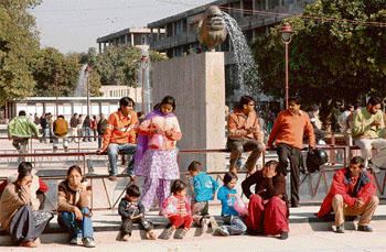People enjoy bright sunshine after a few foggy days in Sector 17, Chandigarh, on Wednesday.