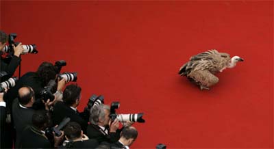 Photo by Reuters