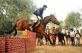 Budding rider Pukhraj Jajee clears an obstacle during a practice session near the Sukhna Lake for the coming inter-school equestrian competition, in Chandigarh on Wednesday.