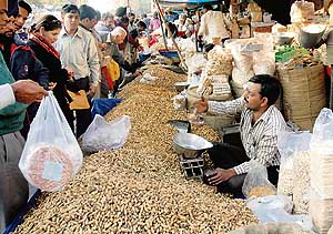 Residents throng markets to purchase groundnuts, popcorn, and other eatables on the eve of Lohri in Chandigarh on Friday. Tribune photo: Manoj Mahajan
