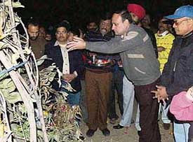 Mr Sanjay Hazari, General Manager, and employees of The Tribune celebrate Lohri at The Tribune Colony in Chandigarh on Saturday